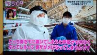 TV放映_4