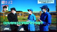 TV放映_5