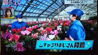 TV放映_6